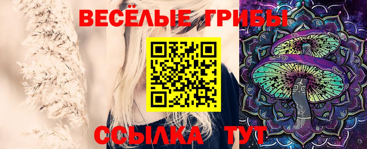 Псилоцибиновые грибы Cubensis Кыштым