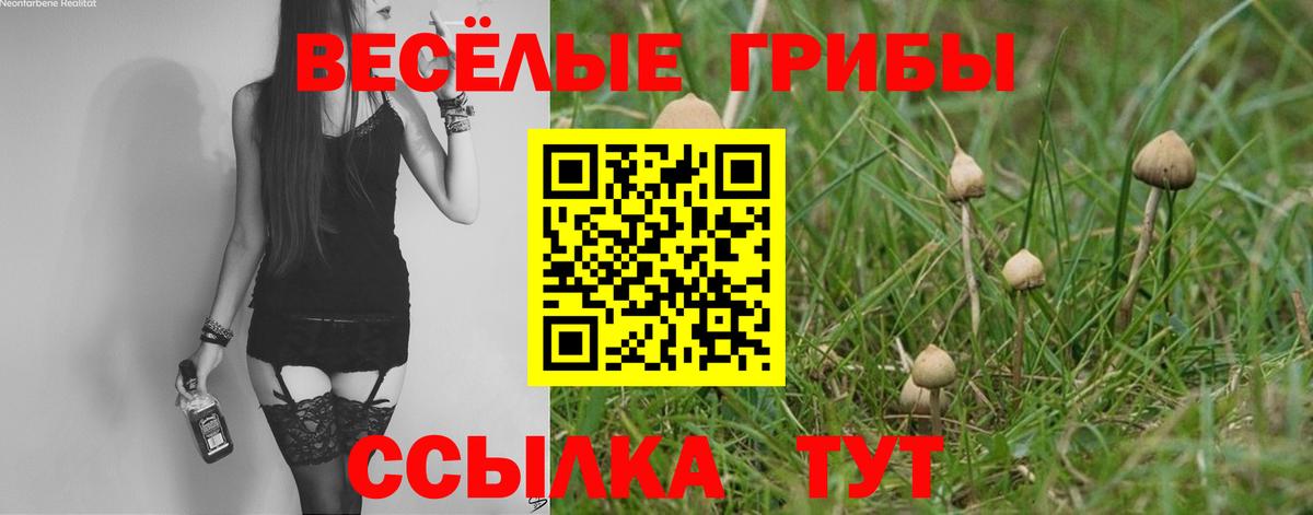 Галлюциногенные грибы Magic Shrooms  Вход с VPN  Кыштым 